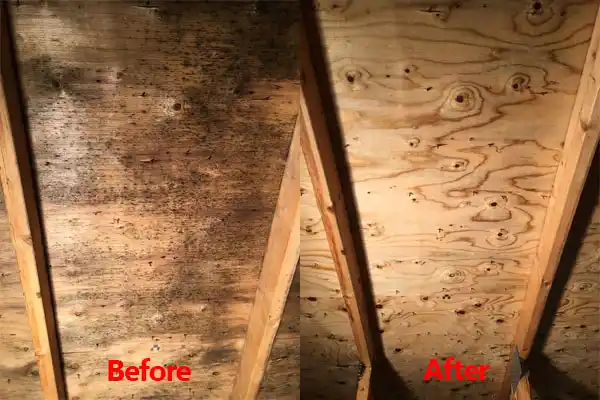 water damage restoration service Lynd